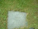 image of grave number 235789